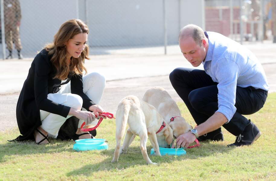 Séance câlins canins pour Kate et William