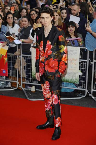 Timothée Chalamet - Avant-première du film "Beautiful Boy" lors du 62ème festival BFI du film de Londres, Royaume Uni, le 13 octobre 2018.