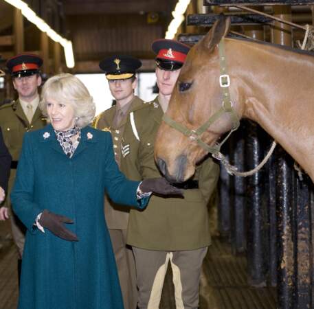 28 janvier 2010 : Camilla Parker Bowles, grande amoureuse des chevaux depuis toujours, rendait visite aux Kings Troop. 