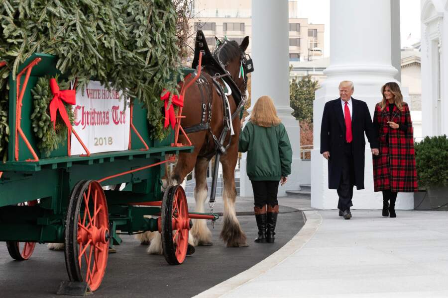 Melania Trump chic dans un manteau-cape en tartan noir et rouge signé Michael Kors pour recevoir le sapin de Noël à la Maison Blanche, le 19 novembre 2019. 