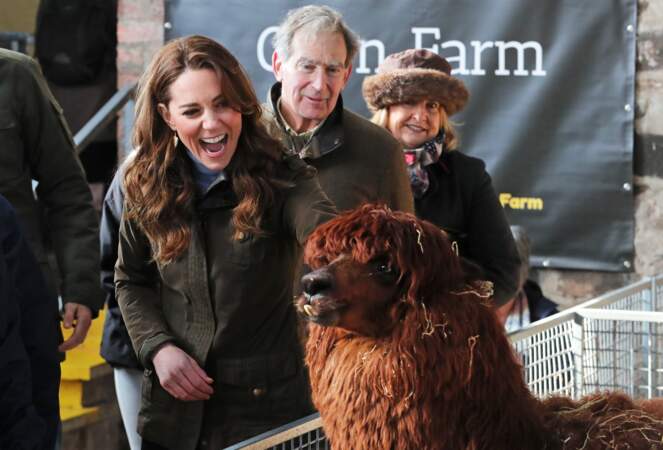 Kate Middleton aussi subjuguée qu'amisée par un alpaga, à la ferme the Ark Open, en Irlande du Nord, le 12 février 2020.