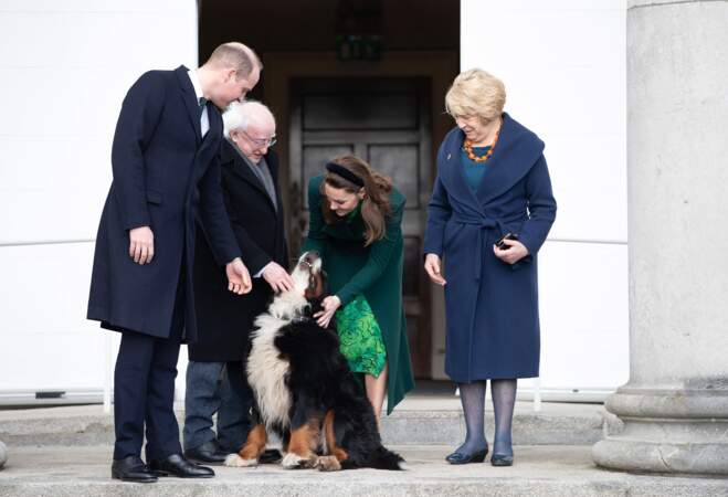 Véritable mascotte de l'Irlande, Brod est l'un des deux chiens du président. La duchesse Kate de Cambridge s'est également éprise de l'animal le 3 mars 2020 à la résidence présidentielle officielle Aras an Uachtarain à Dublin.