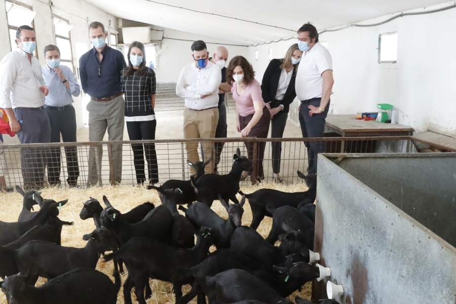 Le roi Felipe VI et la reine Letizia d'Espagne ont visité ce 3 juin 2020 une ferme près de Madrid pendant l'épidémie de Covid-19. Ils portaient tous les deux un masque de protection.