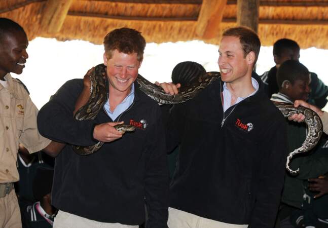 Même pas peur ! Très attachés tous les deux au continent africain, Harry et William visitent une réserve animale au Botswana.