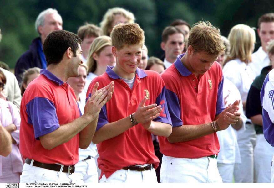 Harry et William partagent une passion commune pour le polo. A l'occasion de matchs caritatifs, ils mouillent souvent le maillot ensemble.