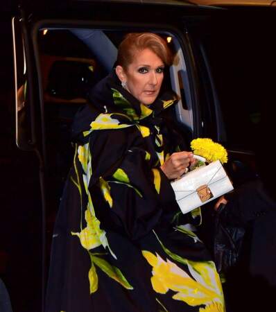Céline Dion : boucles d'oreilles en or blanc et diamants de la Red Carpet Collection de Chopard