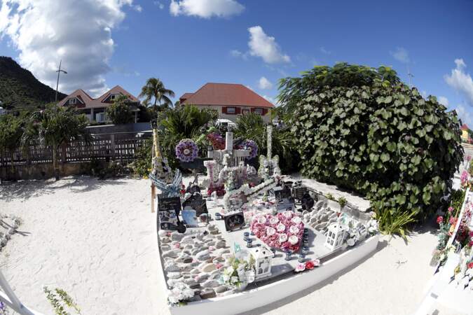 De nombreuses fleurs recouvrent la tombe de Johnny Hallyday, décédé il y a bientôt trois ans