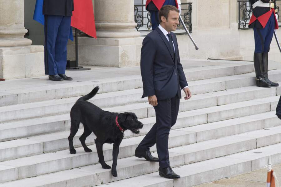 Le président Emmanuel Macron et son chien Nemo, adopté en août 2017 dans un refuge de la SPA.