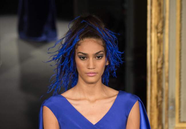 Bleu sur bleu dans les cheveux chez Alexis Mabille