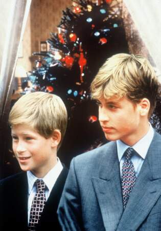 Les princes Harry et William en 1997
