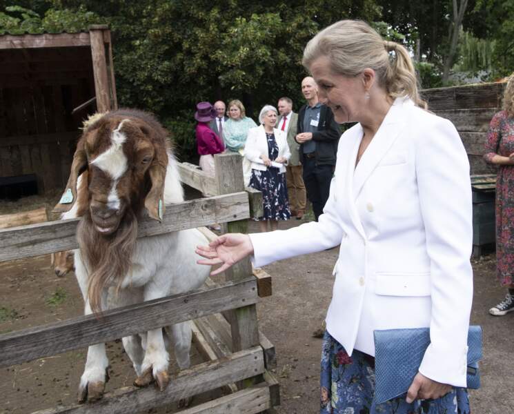 Là-bas, Sophie de Wessex en a profité pour faire connaissance avec d'autres animaux, présents au sein de la Windmill City Farm, à Bristol, le 7 juillet 2021