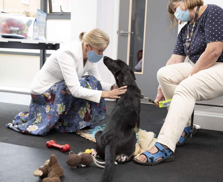 Durant cette visite dans une association de chiens-guides pour aveugles, à Bristol, le 7 juillet 2021, Sophie de Wessex a voulu montrer qu'elle était aussi proche des animaux