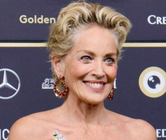 "Sharon Stone est une véritable icône du septième art", a déclaré Christian Jungen, directeur artistique du festival de Zurich.