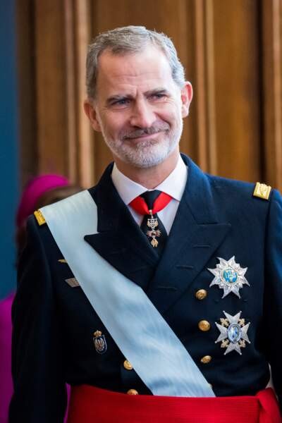 Felipe VI est devenu le roi d'Espagne le 19 juin 2014.