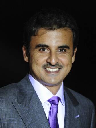 Tamim ben Hamad est devenu l'émir du Qatar le 25 juin 2013.