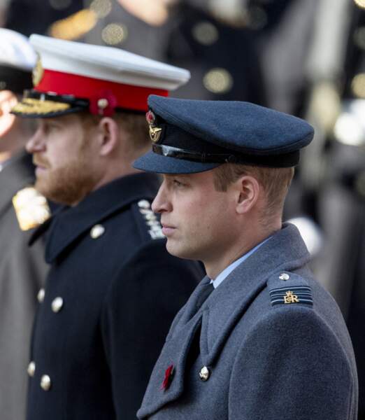 Prince William and his brother Prince Harry unable to come together to honor their mother.