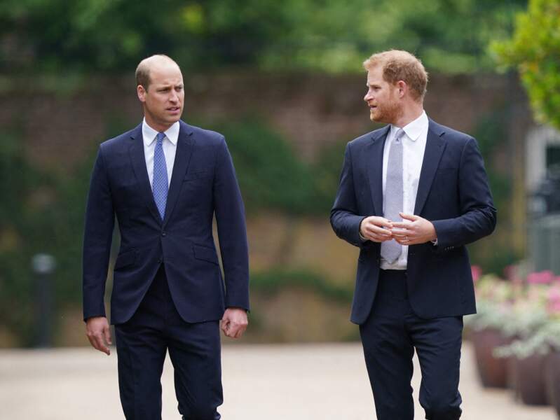 In a fratricidal war, Harry and William are at their worst.