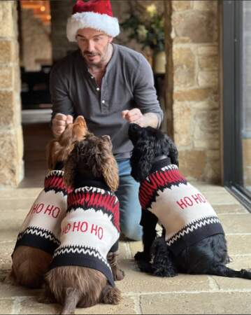 David Beckham fête Noël avec ses toutous. C'est Victoria qui va être jalouse ! 
