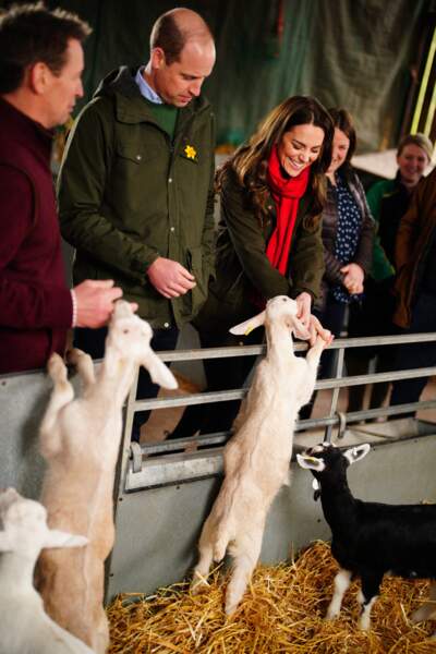 William et Kate ont profité de leur visite dans une ferme à Pant Farm pour découvrir l'enclos des brebis, au Pays de Galles, le 1er mars 2022.