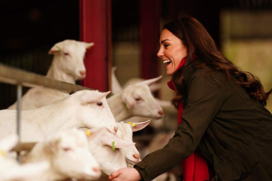 Kate Middleton souriante lors de la visite d'une ferme caprine  à Pant Farm au Pays de Galles, Royaume Uni, le 1er mars 2022. 