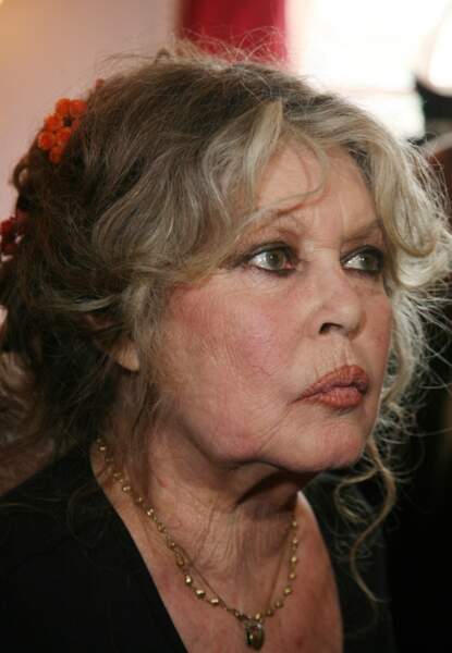 Brigitte Bardot regrette 