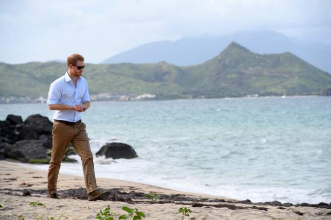 Le prince Harry sur la plage Lovers Beach sur l'île de Nevis (Caraïbes), lors d'un relâché de tortues, le  23 novembre 2016