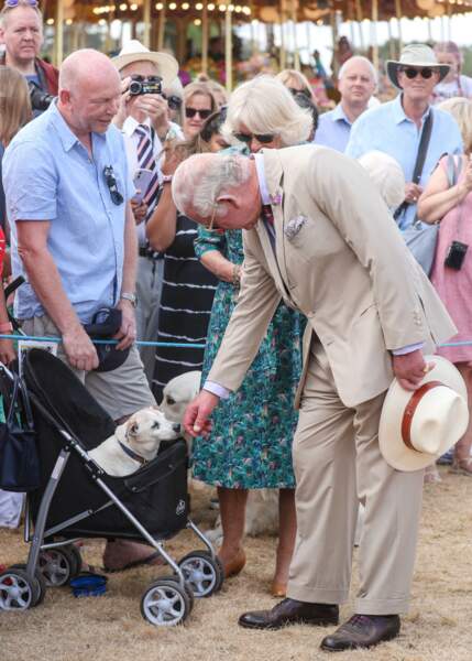 Le prince Charles et sa femme, Camilla Parker-Bowles, duchesse de Cornouailles,  s'émerveillent  devant un enfant au Sandringham Flower Show (Royaume-Uni), le 27 juillet 2022