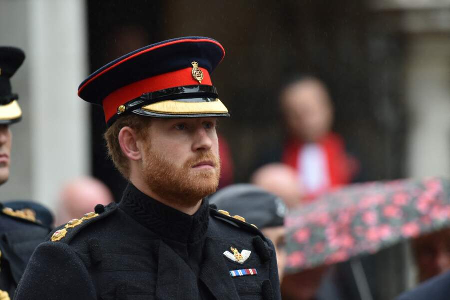 Le prince Harry et le prince Philip se rendent au Field of Remembrance à Londres en novembre 2015