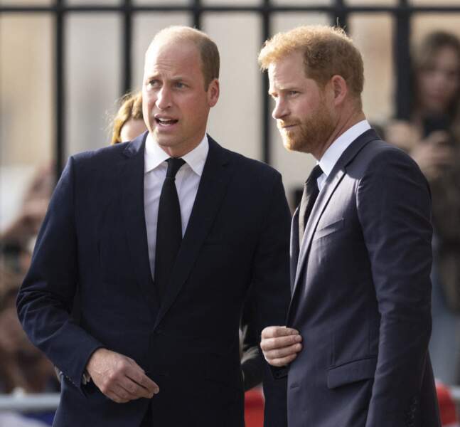 Le prince de Galles William, le prince Harry, duc de Sussex à la rencontre de la foule devant le château de Windsor, suite au décès de la reine Elisabeth II d'Angleterre, le 10 septembre 2022 