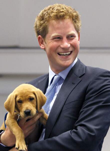 Le prince Harry visite un centre de dressage pour chiens, le 13 juillet 2010 