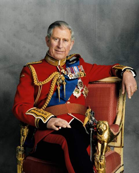 Le prince Charles en 2008 pour ses 60 ans