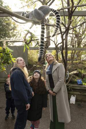 Sophie Rhys-Jones visite le zoo de Londres, le 24 novembre 2022