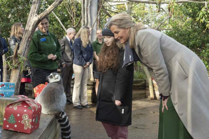 Sophie Rhys-Jones visite le zoo de Londres à l'occasion de sa nouvelle exposition, "Monkey Valley" et participer aux célébrations de Noël avec les enfants, le 24 novembre 2022. 