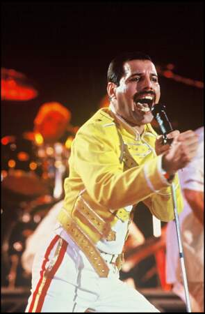 Son ami Freddie Mercury