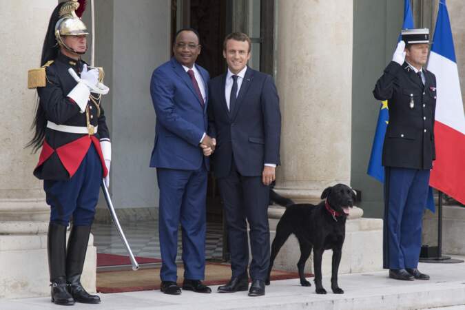 Emmanuel Macron sur le parvis du palais de l'Élysée en compagnie de son Labrador Retriever-Griffon Nemo