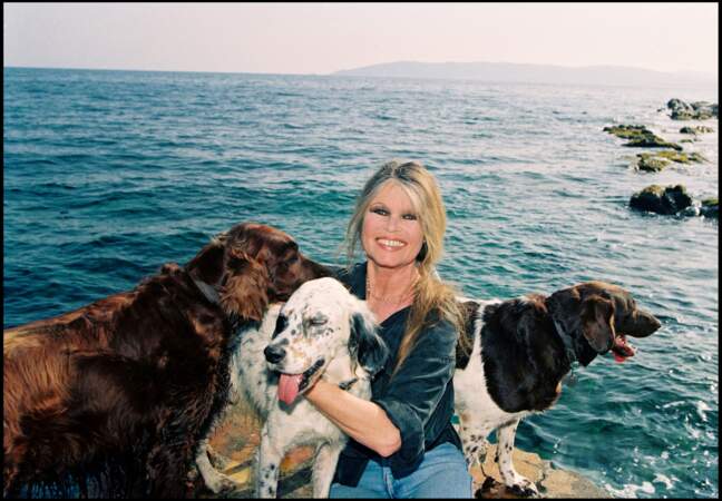 Queue de cheval basse pour Brigitte Bardot avec ses chiens à St Tropez