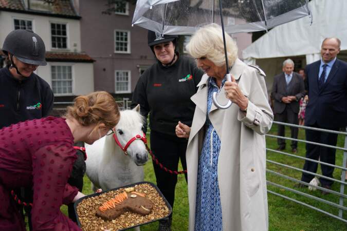 La reine a rencontré les poneys de la Redwings Horse Sanctuary