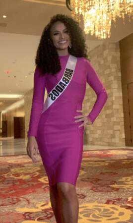Hillary Ann Williams, Miss Univers Barbade 