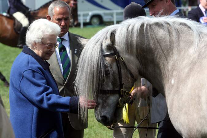 Elizabeth II regarde un cheval prêt à participer à un concours en 2011