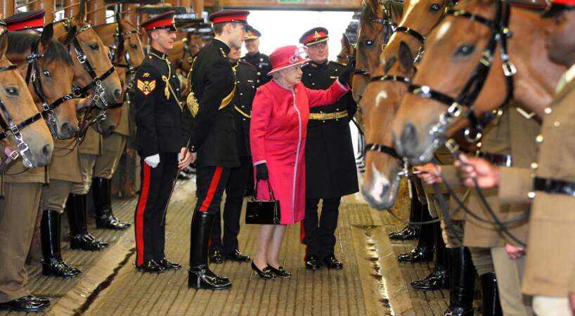 Elizabeth II rencontre le cheval nommé Harlequin qu'elle a donné aux troupes du roi à la St John's Wood Barracks, en 2011