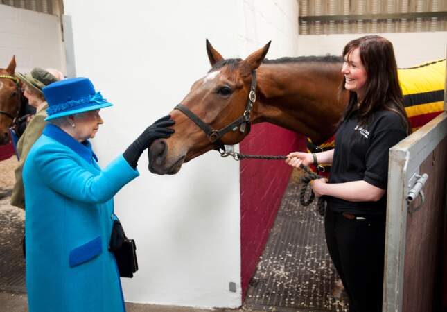 La reine rend visite à un cheval dans un hôpital équestre en 2014