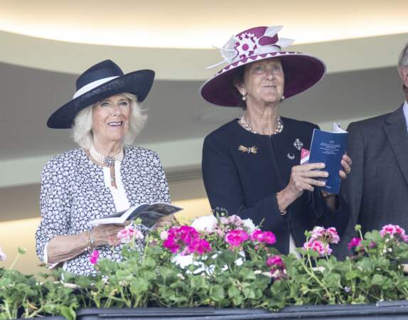 Présente dans les tribunes, Camilla Parker Bowles assiste à la course de plat du King George Diamond Weekend sans le prince Charles ni la reine Elizabeth II.