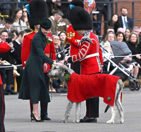 Kate Middleton fait connaissance de Turlough Mor, la mascotte du 1er bataillon des Irish Guards.
