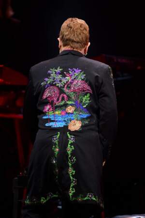 Elton John en concert à Monaco, en 2017