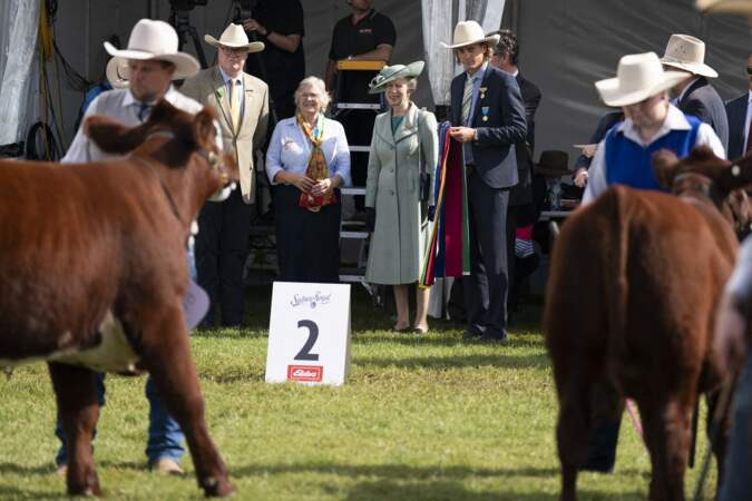 La princesse royale regarde le jugement au Sydney Royal Cattle Show lors d'une visite pour ouvrir le Royal Agricultural Society of New South Wales Bicentennial Sydney Royal Easter Show