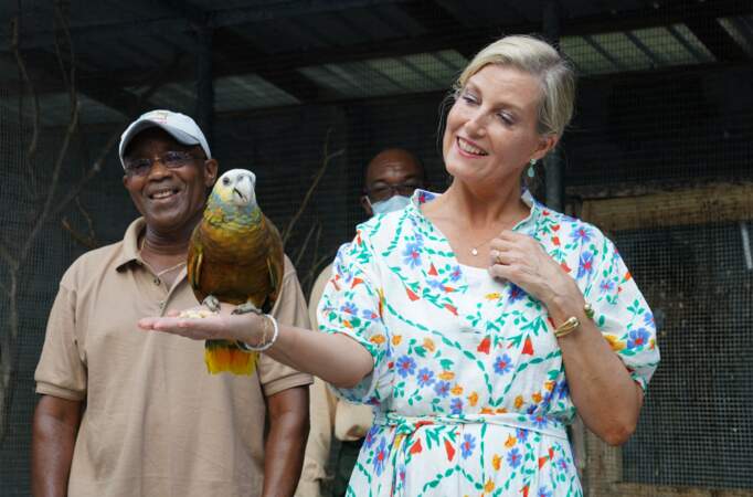 Earl And Countess Of Wessex Visit To The Caribbean - Day 2