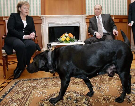 Vladimir Poutine s'est amusé plusieurs fois à effrayer Angela Merkel avec des chiens 
