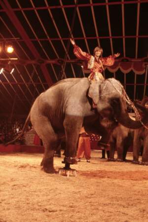 Dave détonne dans un total look à paillettes sur le dos d'un éléphant lors d'un numéro de cirque en 1070.
