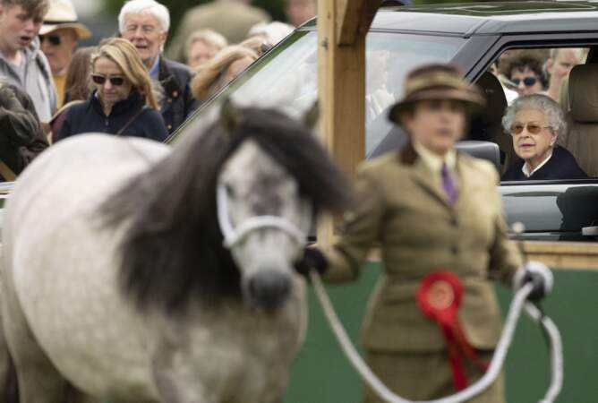 La reine d'Angleterre a pu apercevoir des chevaux des compétitions