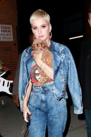 Katy Perry promène son chien à New York le 30 octobre 2018. 